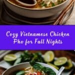 Vietnamese Chicken Pho Soup Recipe