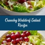 Waldorf Salad Recipe