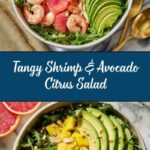 Shrimp & Avocado Citrus Salad Recipe