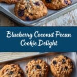 Blueberry Coconut Pecan Cookies Recipe