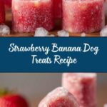 Strawberry Banana Bites for Dogs Recipe