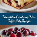 Cranberry Bliss Coffee Cake Recipe